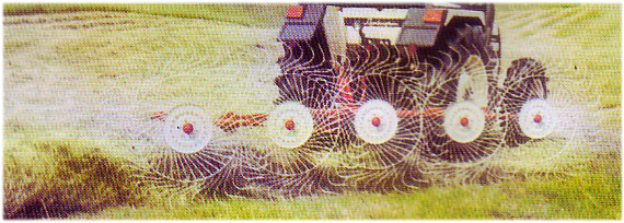 Wheels hay rake for small tractors SP
